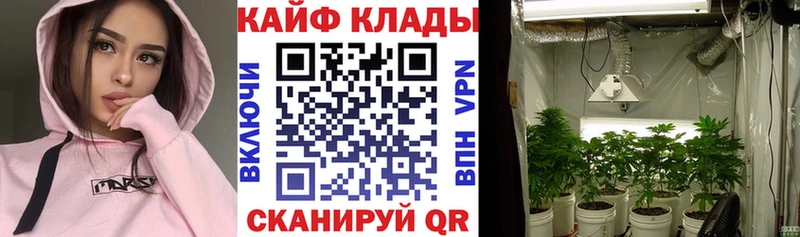 Купить закладку Тихвин OMG ONION Псилоцибиновые грибы Меф Cocaine Конопля