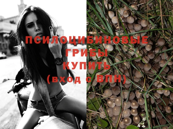 прущие грибы Белоозёрский