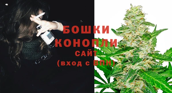 прущие грибы Белоозёрский