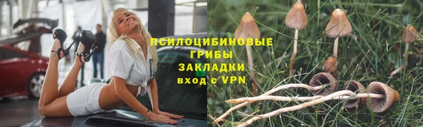 а пвп мука Беломорск